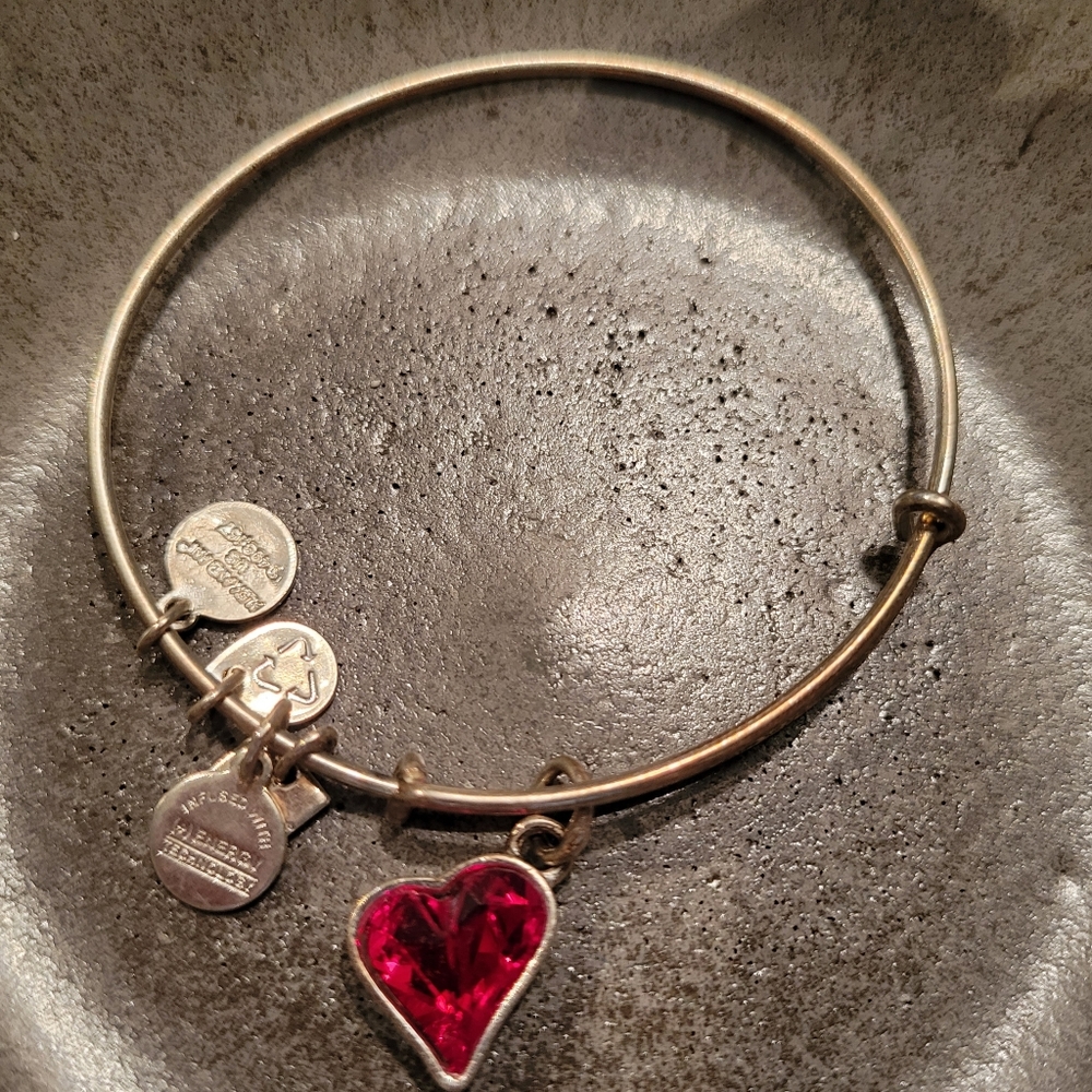 alex & ani bangle